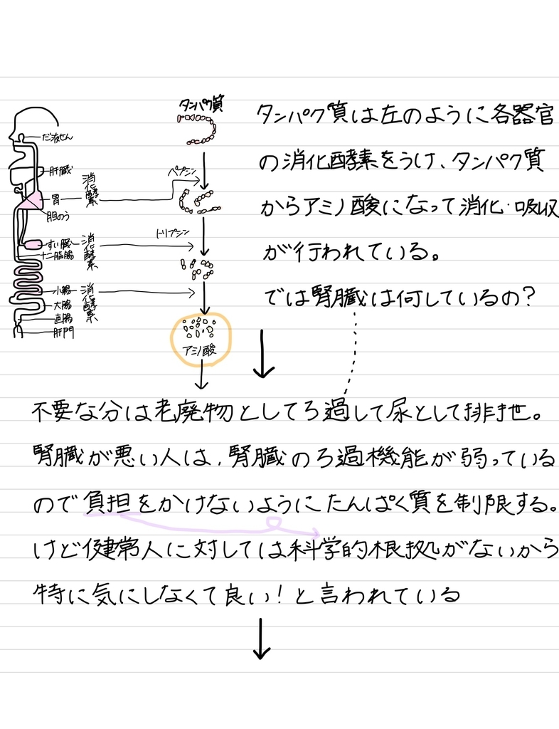 f:id:rdtamago:20181204104737j:plain