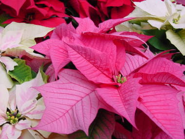 f:id:re0040-22:20111202171755j:image