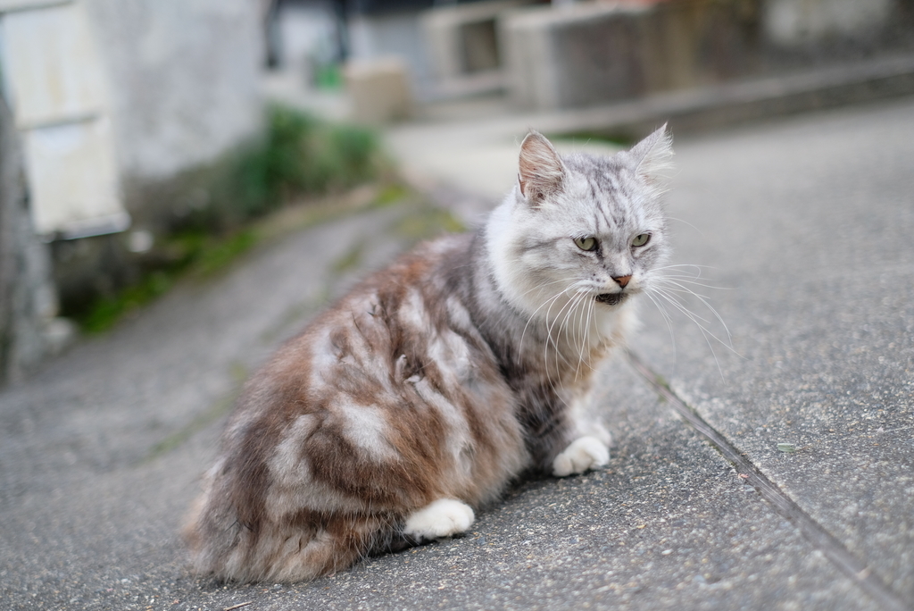 f:id:re_creation:20180927162019j:plain f:id:re_creation:20180927162019j:plain