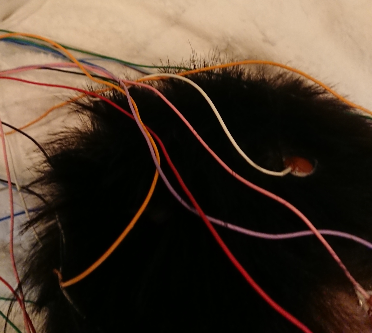 f:id:reachme:20190906140628j:plain f:id:reachme:20190906140628j:plain