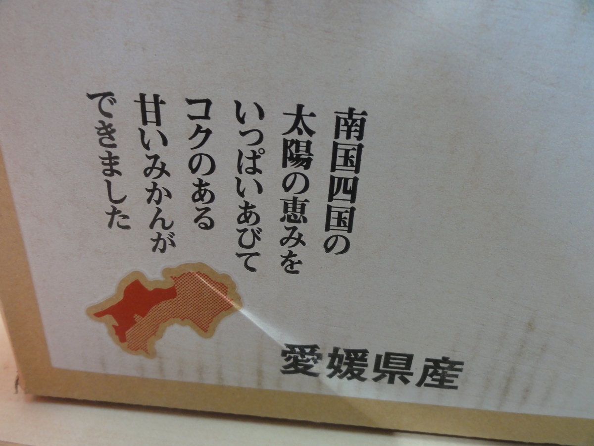 f:id:reachme:20201112123545j:plain f:id:reachme:20201112123545j:plain