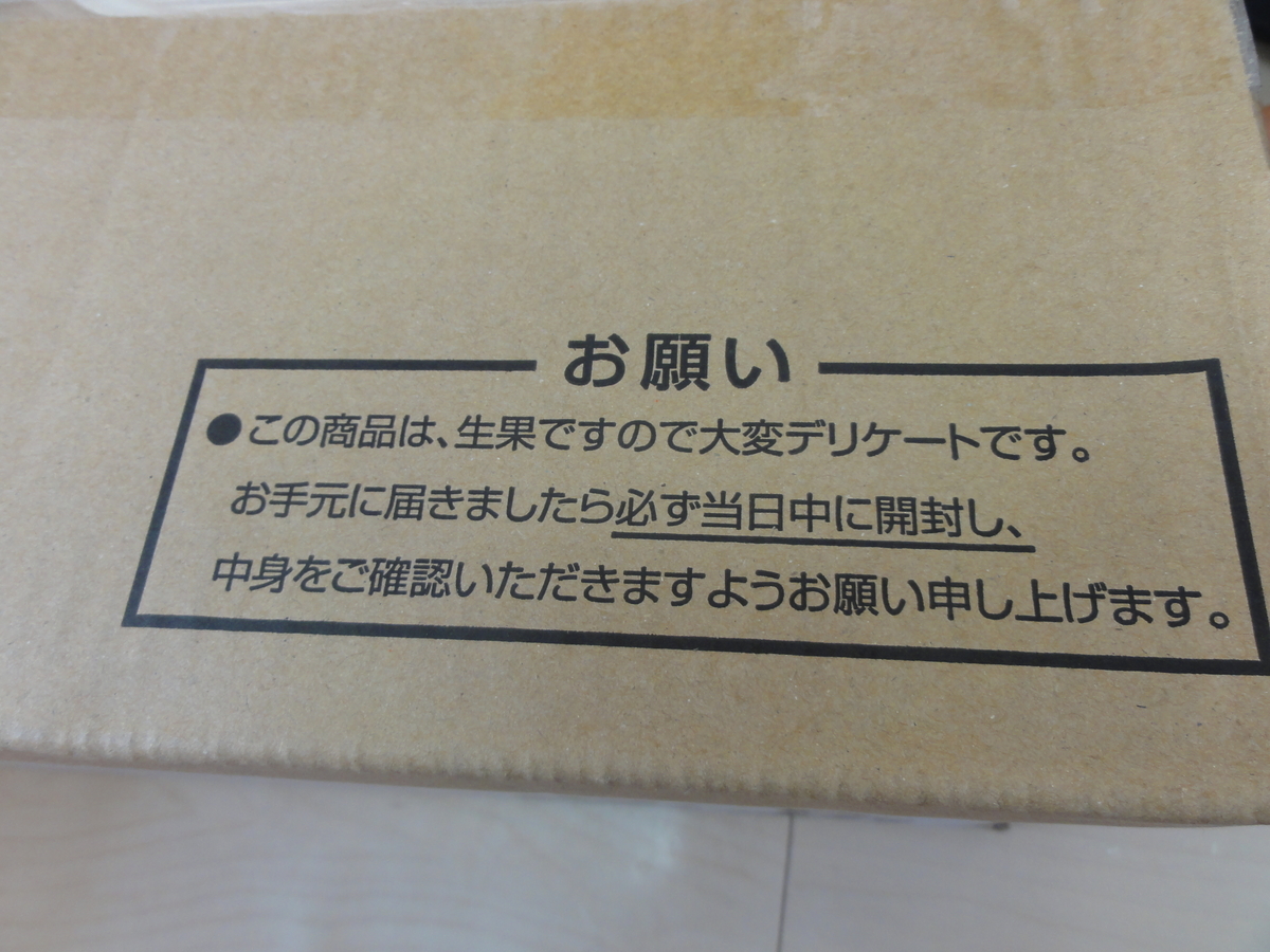 f:id:reachme:20201112123554j:plain f:id:reachme:20201112123554j:plain