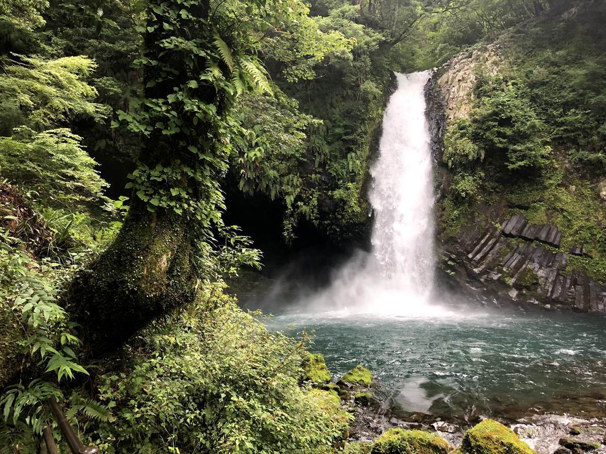 f:id:reactance:20190728144215j:plain