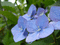 f:id:read_aida:20080629150410j:image:small