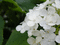 f:id:read_aida:20080629150702j:image:small