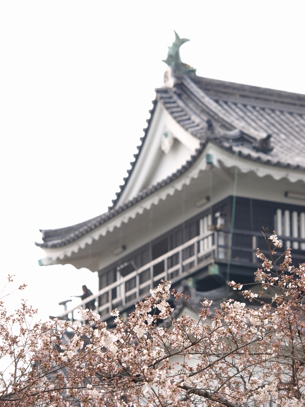 f:id:read_aida:20090331153611j:image:w300