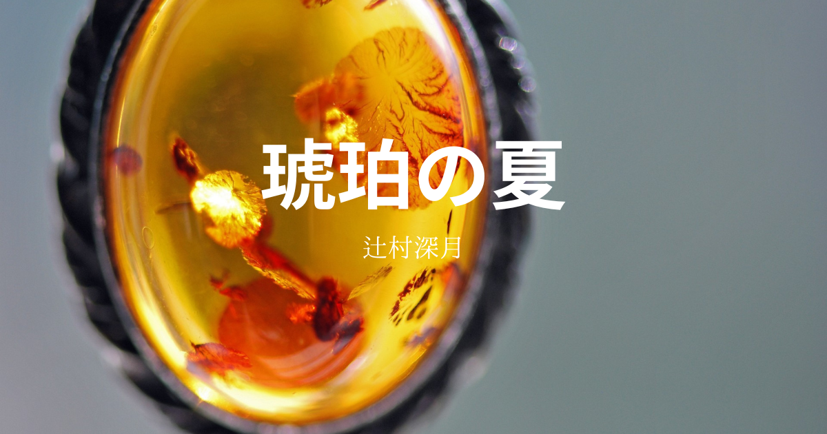辻村深月】『琥珀の夏』についての解説と感想 - こじてるの読書感想文
