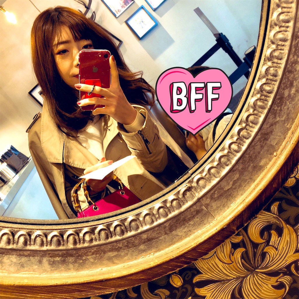 f:id:realaipeepoo:20190325223127j:image
