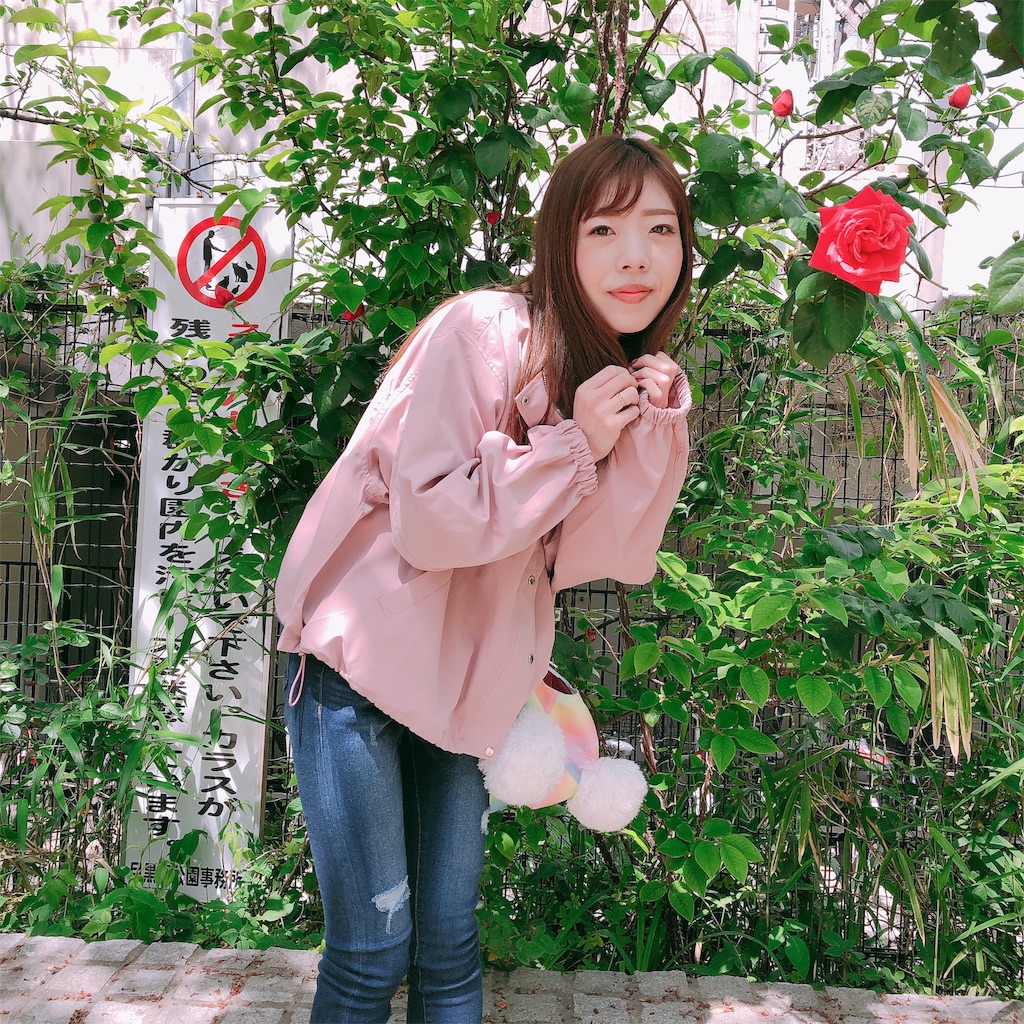 f:id:realaipeepoo:20190430142130j:image f:id:realaipeepoo:20190430142130j:image
