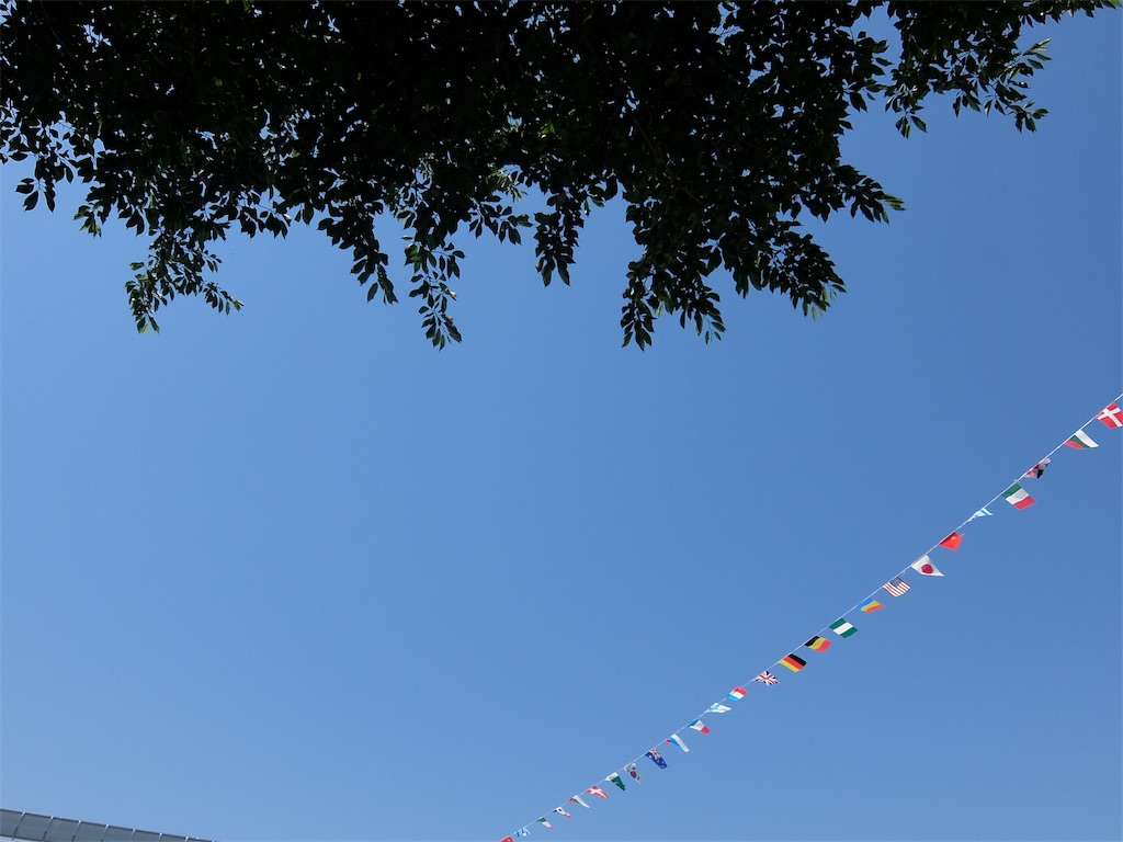 f:id:realaipeepoo:20190526120329j:image f:id:realaipeepoo:20190526120329j:image