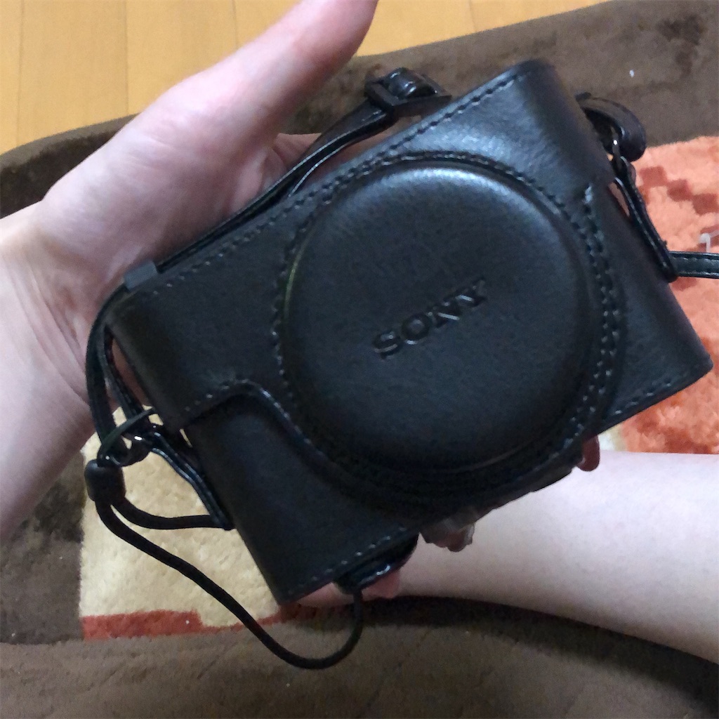 f:id:realaipeepoo:20190609230513j:image f:id:realaipeepoo:20190609230513j:image
