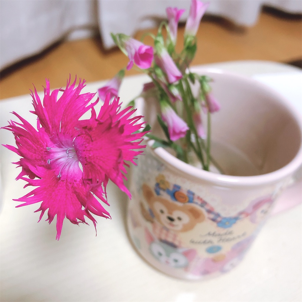f:id:realaipeepoo:20190623213219j:image f:id:realaipeepoo:20190623213219j:image