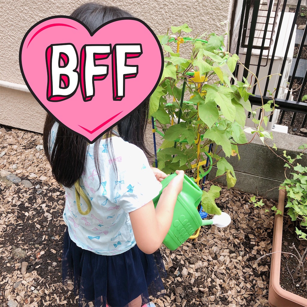 f:id:realaipeepoo:20190724133418j:image f:id:realaipeepoo:20190724133418j:image