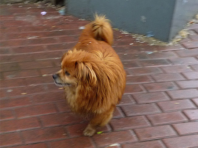 f:id:realchina:20170930114842j:plain