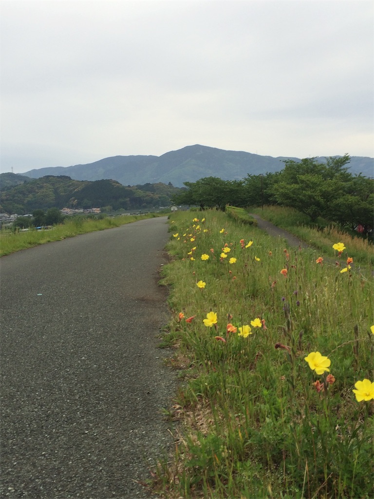 f:id:realheart:20190916095854j:image f:id:realheart:20190916095854j:image