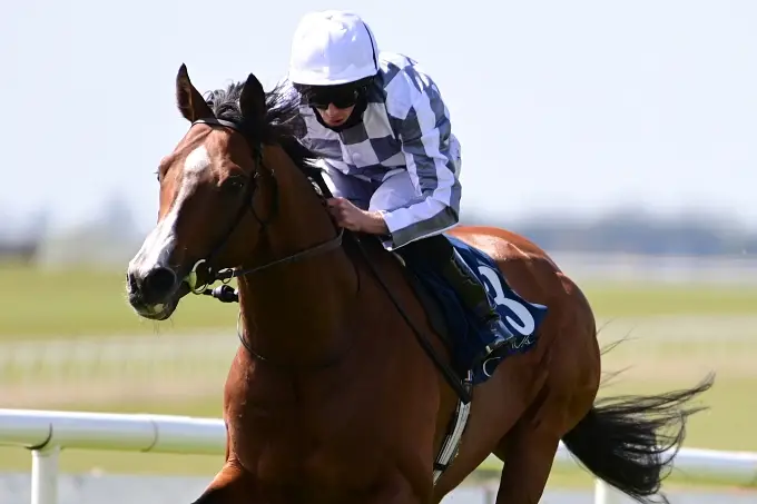 打ち首こくまろ