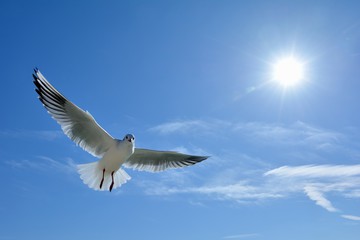 f:id:reallifestyle:20190327003201j:plain f:id:reallifestyle:20190327003201j:plain