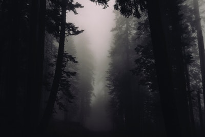 f:id:reallifestyle:20190329235651j:plain f:id:reallifestyle:20190329235651j:plain