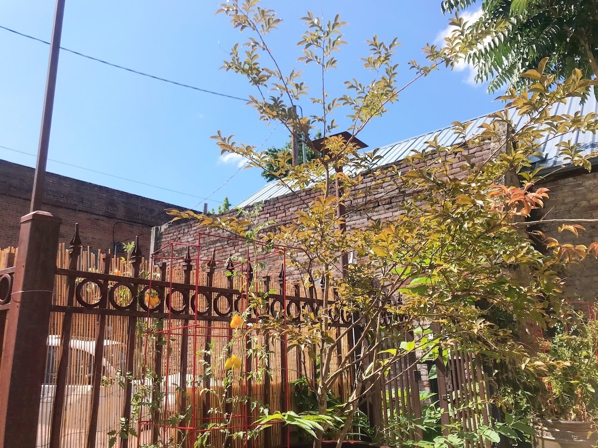 f:id:realtabimosotabi:20190814091136j:plain f:id:realtabimosotabi:20190814091136j:plain