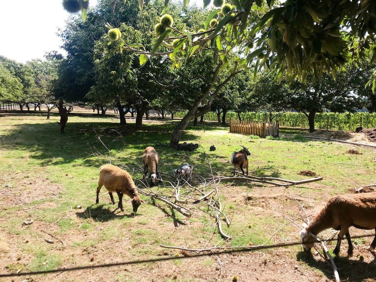 f:id:realtabimosotabi:20190815075118j:plain f:id:realtabimosotabi:20190815075118j:plain
