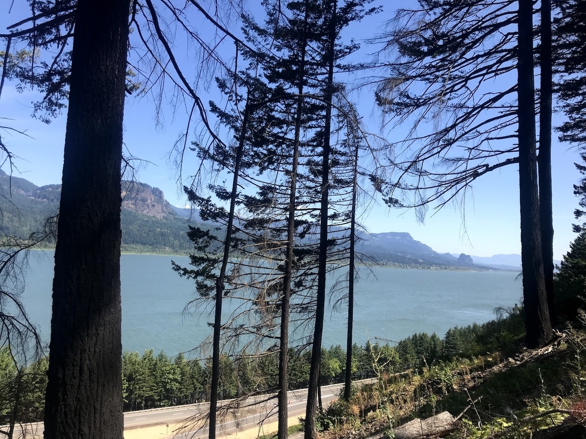 【オレゴン】ワシントンとの州境へ〜コロンビア・リバー・ゴージ リアル旅 妄想旅