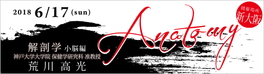 f:id:reaseminar:20180321083237p:plain f:id:reaseminar:20180321083237p:plain