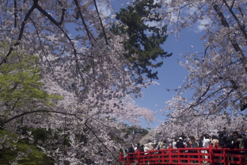 f:id:rebirth12:20150424230509j:image