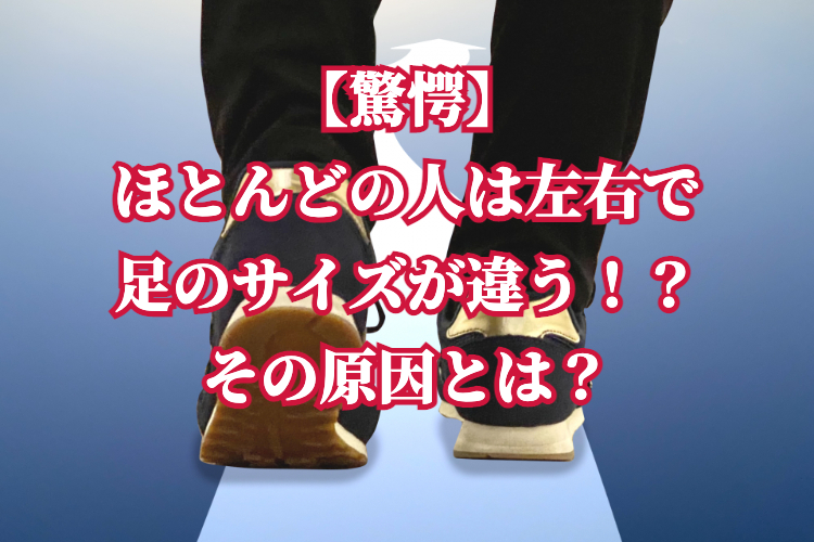 f:id:reborn-change:20210917062551j:plain