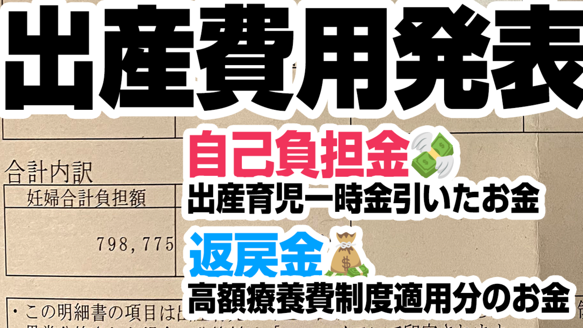 出産費用発表！自己負担金と、返戻金の内訳を動画にまとめました。