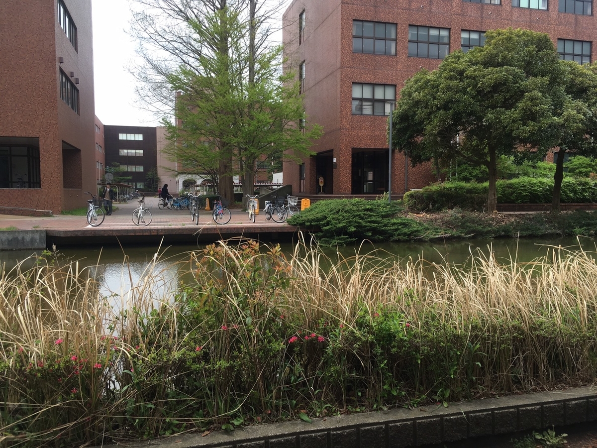 f:id:recitaltsukuba:20190418150141j:plain f:id:recitaltsukuba:20190418150141j:plain