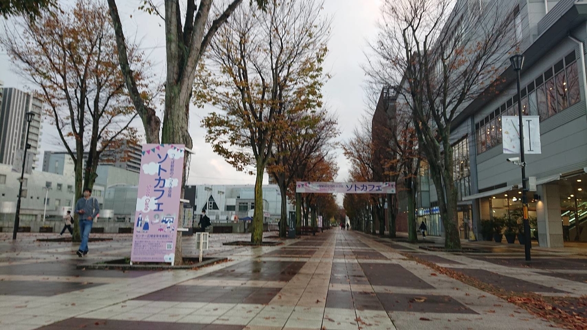 f:id:recitaltsukuba:20201208165106j:plain