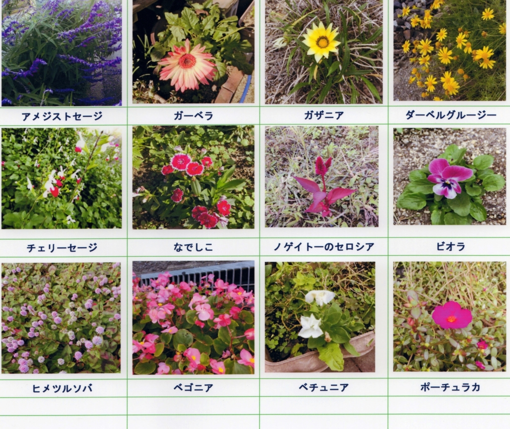 f:id:recoca1940:20161111114213j:plain f:id:recoca1940:20161111114213j:plain
