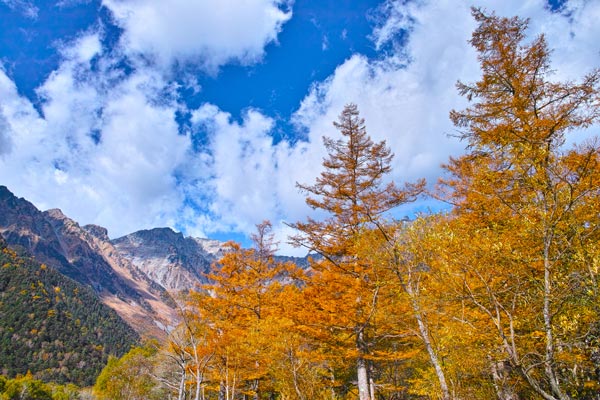 f:id:recoca1940:20170901104015j:plain f:id:recoca1940:20170901104015j:plain