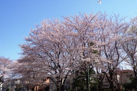f:id:recoca1940:20180325204000j:plain