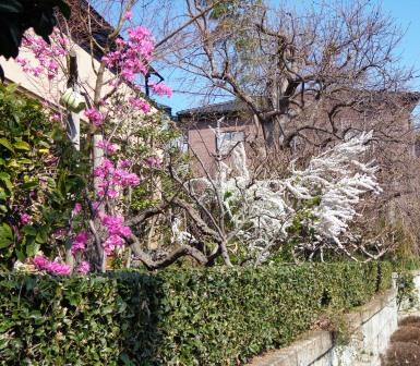 f:id:recoca1940:20180325204457j:plain