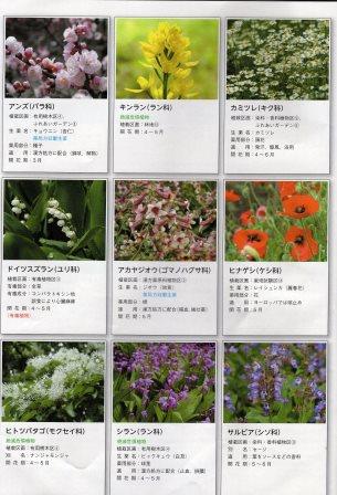f:id:recoca1940:20180329073714j:plain f:id:recoca1940:20180329073714j:plain