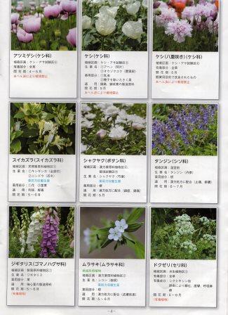 f:id:recoca1940:20180329073738j:plain f:id:recoca1940:20180329073738j:plain