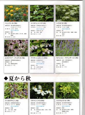 f:id:recoca1940:20180329073758j:plain f:id:recoca1940:20180329073758j:plain