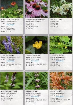 f:id:recoca1940:20180329073835j:plain f:id:recoca1940:20180329073835j:plain