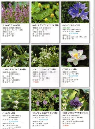 f:id:recoca1940:20180329073855j:plain f:id:recoca1940:20180329073855j:plain