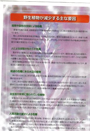 f:id:recoca1940:20180329074039j:plain f:id:recoca1940:20180329074039j:plain