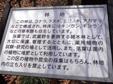 f:id:recoca1940:20180329074438j:plain f:id:recoca1940:20180329074438j:plain