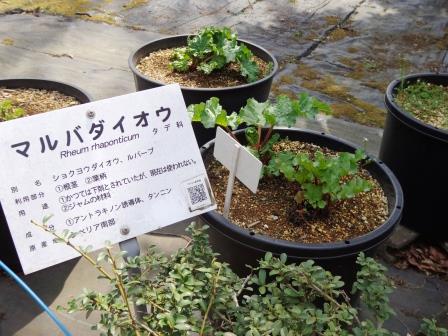 f:id:recoca1940:20180329074648j:plain f:id:recoca1940:20180329074648j:plain