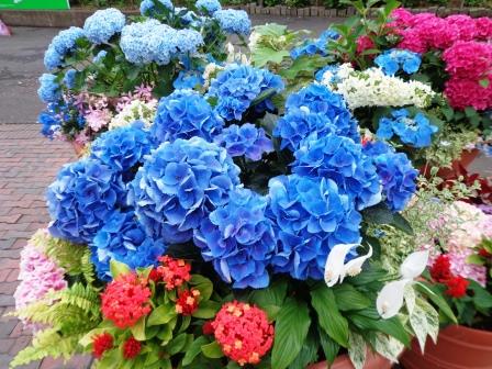 f:id:recoca1940:20180601093307j:plain f:id:recoca1940:20180601093307j:plain