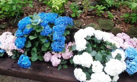 f:id:recoca1940:20180601093319j:plain f:id:recoca1940:20180601093319j:plain