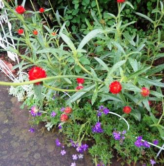 f:id:recoca1940:20180923110632j:plain f:id:recoca1940:20180923110632j:plain