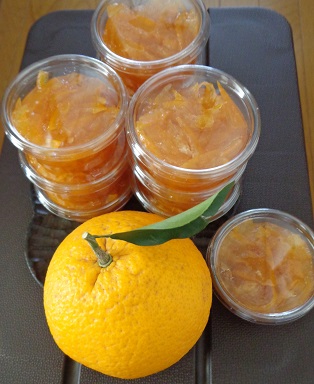 f:id:recoca1940:20190202170610j:plain