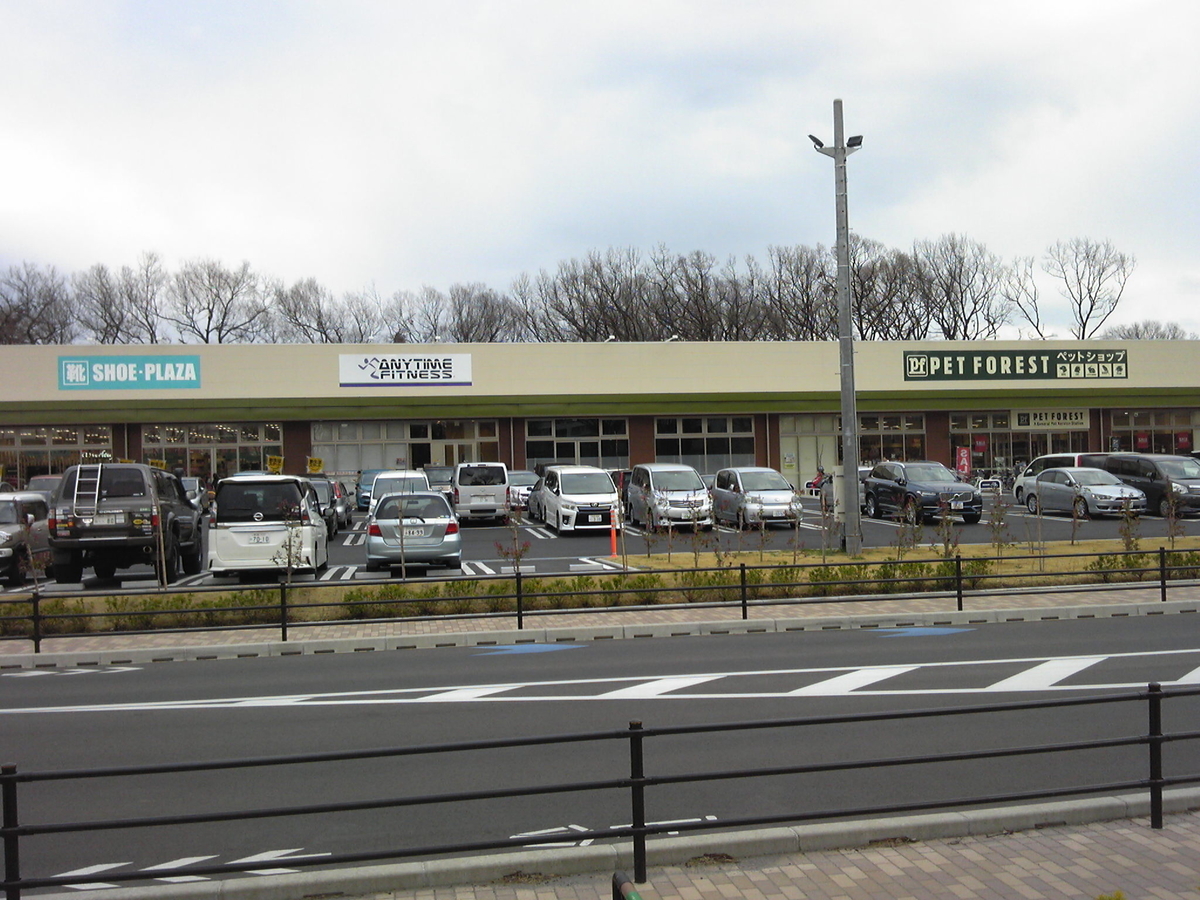 f:id:recoca1940:20190318202329j:plain