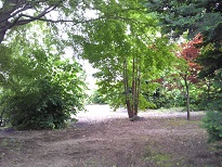 f:id:recoca1940:20190615102237j:plain