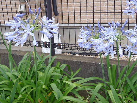 f:id:recoca1940:20190711093414j:plain